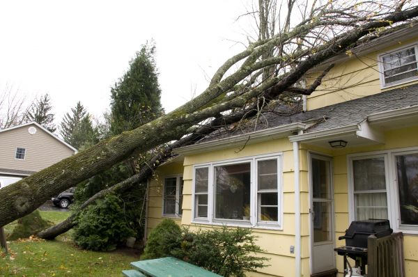 Hurricane Damage Repair in Beaumont